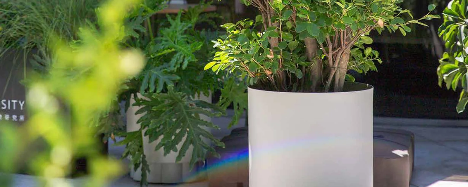 Outdoor Planters in an outdoor setting