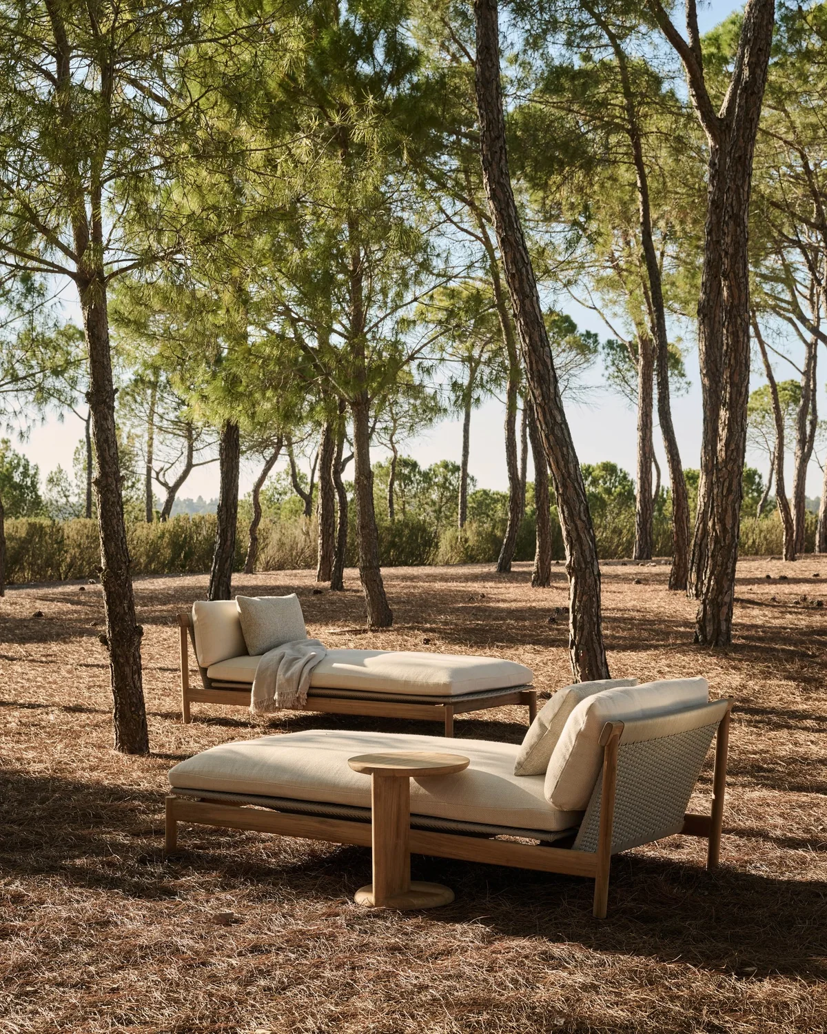 Minimal Courtyard outdoor setting